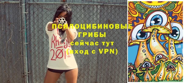бутират Алзамай